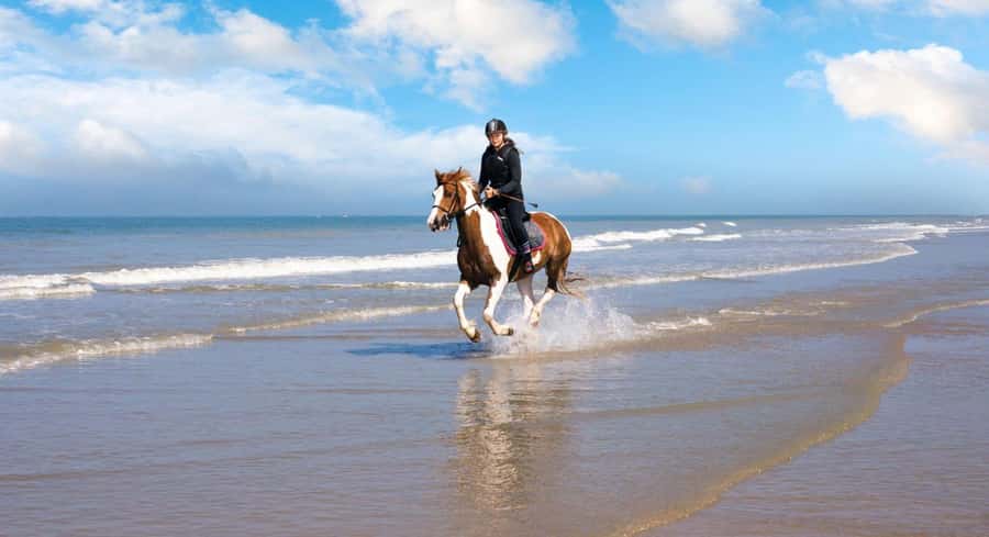Soma Bay: Horse Riding Beach and Desert Tour With Transfer - Key highlights