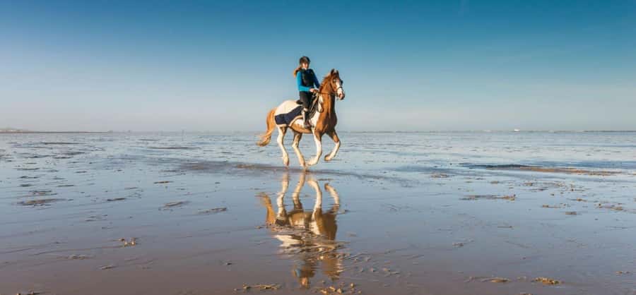 Soma Bay: Horse Riding Beach and Desert Tour With Transfer - Soma Bay Horse Riding: Why This Combo Works