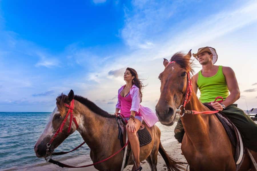 Soma Bay: Horse Riding Beach and Desert Tour With Transfer - Beach Riding Along the Red Sea Coast
