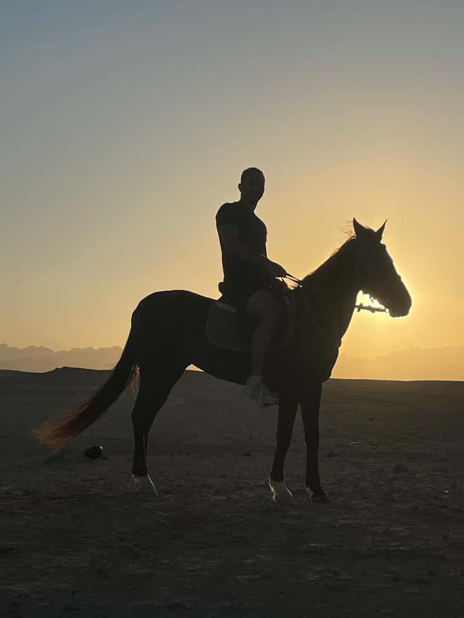 Soma Bay: Horse Riding Beach and Desert Tour With Transfer - Desert Trails and Skill-Based Horse Matching