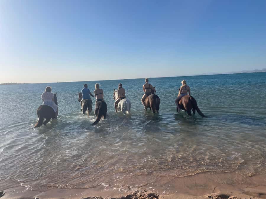 Soma Bay: Horse Riding Beach and Desert Tour With Transfer - What the Guide Does, Beyond Saying “Follow Me”