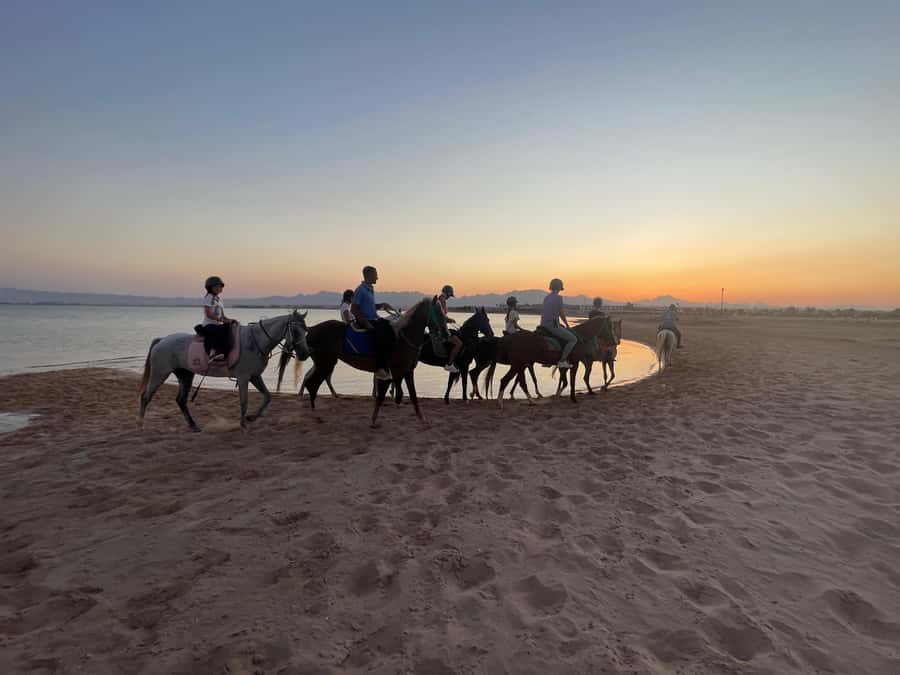 Soma Bay: Horse Riding Beach and Desert Tour With Transfer - Route Value: 2 Hours That Don’t Drag