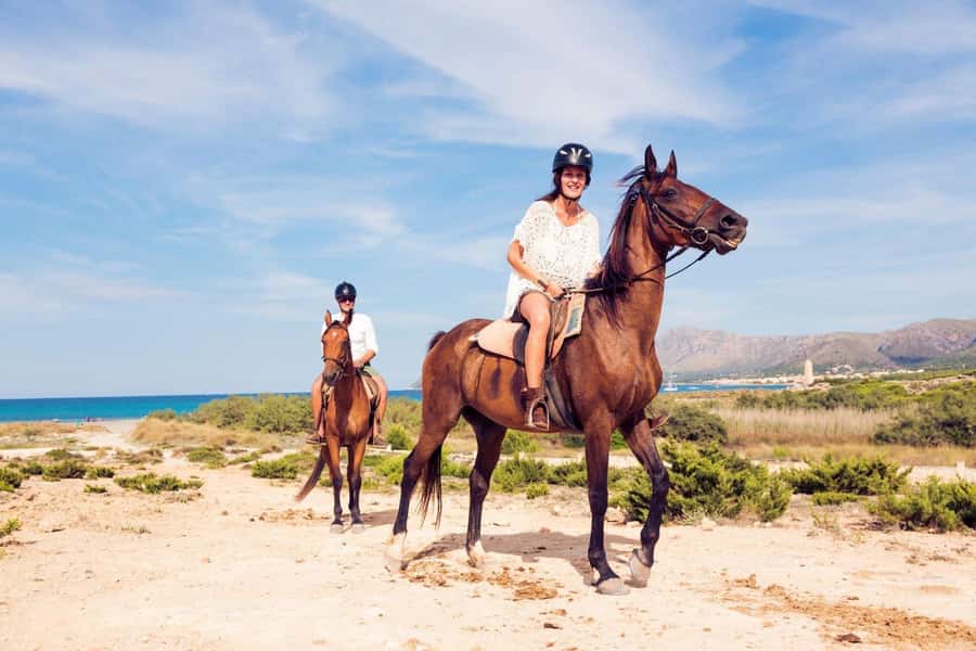 Soma Bay: Horse Riding Beach and Desert Tour With Transfer - Price and Logistics: Is $20 Worth It?
