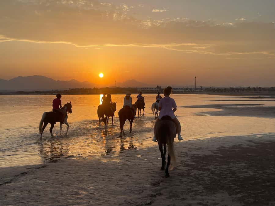 Soma Bay: Horse Riding Beach and Desert Tour With Transfer - Who Should Book This (and Who Might Skip It)