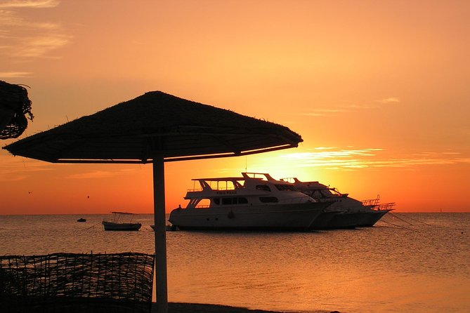 Sorkeling Trip to the White Island & Ras Mohammed - Key highlights from this White Island and Ras Mohammed day