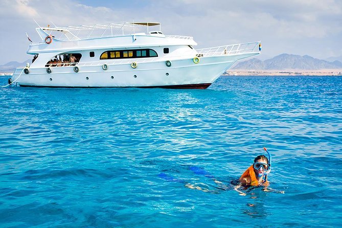 Sorkeling Trip to the White Island & Ras Mohammed - Gear and Fees: Budget the Parts Not Covered