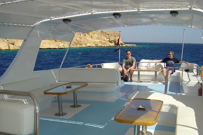Sorkeling Trip to the White Island & Ras Mohammed - Should You Book this White Island and Ras Mohammed Snorkeling Day?