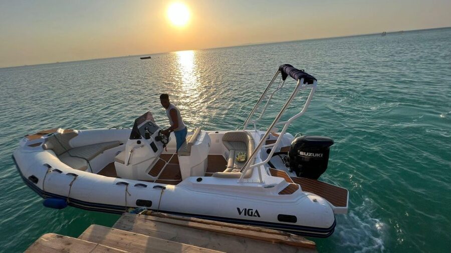 Speedboat,Parasailing, Snorkeling & Piece Of Paradise Island - Who this tour fits best, and who should skip it