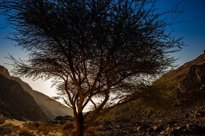 Sunset Luxury Experience to Dry Canyon Wadi Belli - From Hurghada at 2:30 pm: your 4WD ride starts before the desert