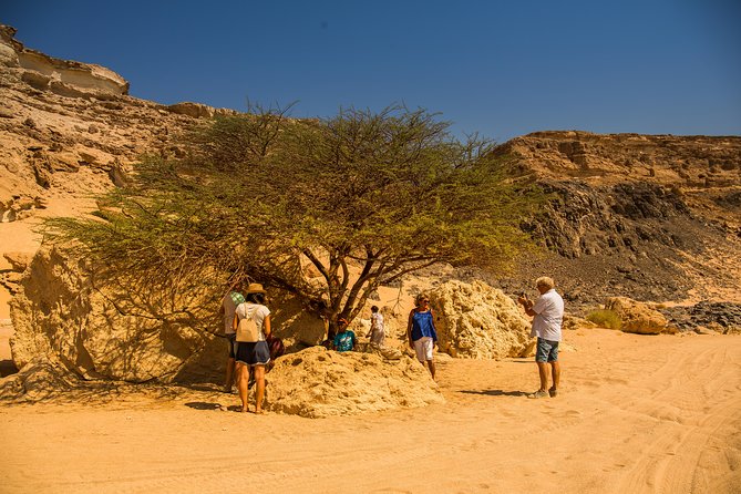 Sunset Oasis Desert Experience in El Gouna and Hurghada - Key Points You’ll Care About