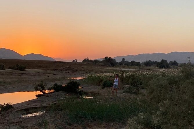 Sunset Oasis Desert Experience in El Gouna and Hurghada - Oase El Malacha: Springs, Palms, and a Dinner Break Worth Waiting For