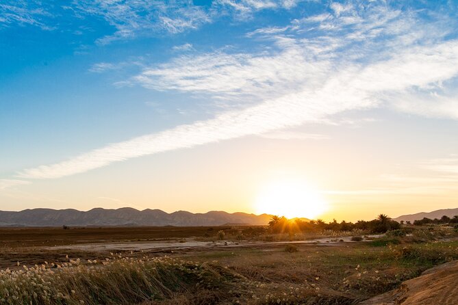Sunset Oasis Desert Experience in El Gouna and Hurghada - Price and Value: What $110.50 Actually Buys You