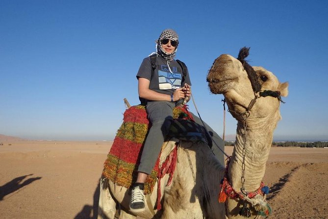 Super Safari ATV, Buggy Car, Camel Ride, Bedouin Dinner -Hurghada - Quad bikes in the desert dunes: the part speed freaks usually love