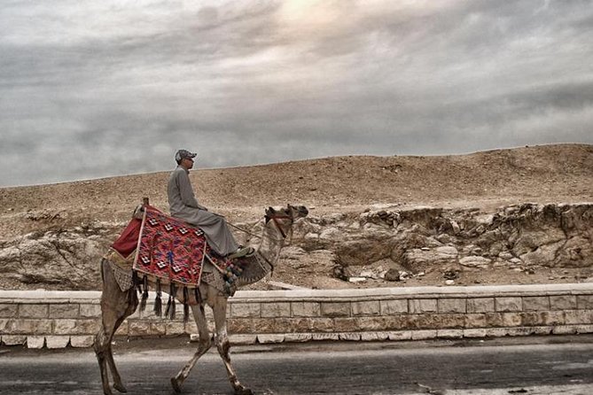 Super Safari ATV, Drive Buggy Car, Camel Ride, Bedouin Dinner, Show-Hurghada - Value in context: $16.50 plus fees and transfers