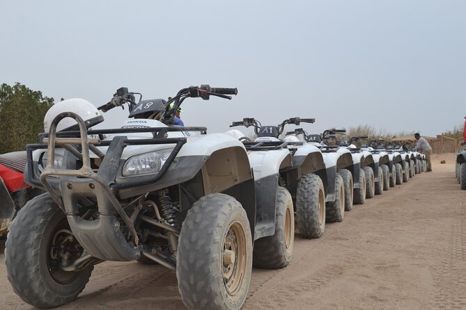 Super Safari ATV, Drive Buggy Car, Camel Ride, Bedouin Dinner, Show-Hurghada - Jeep transfer to the Bedouin village: real culture, bumpy ride