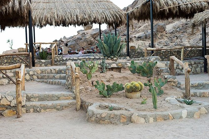 Super Safari, ATV & Sunset, Camel Ride With Dinner - Marsa Alam - Hookah and photos: confirm what is truly included before the sunset