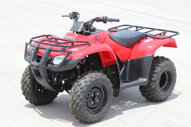 Super Safari ( Jeep - Quad- Buggy car-folklore-BBQ dinner) - Camel ride: classic desert travel, short and sweet