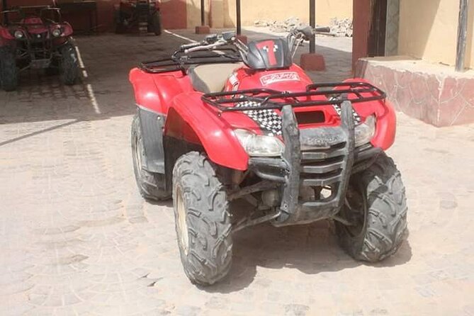 Super Safari ( Jeep - Quad- Buggy car-folklore-BBQ dinner) - Bedouin tea, then a reptile house visit with desert focus