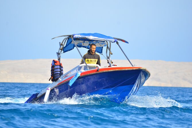 Swim with Dolphins Semi Private Speedboat Sea Tour - Hurghada - Price and extra fees: the real cost breakdown