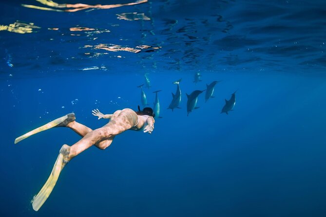 Swimming With Dolphin in Red Sea Adventure with Lunch - Hurgada - Coral reef stop: where the underwater payoff often lands