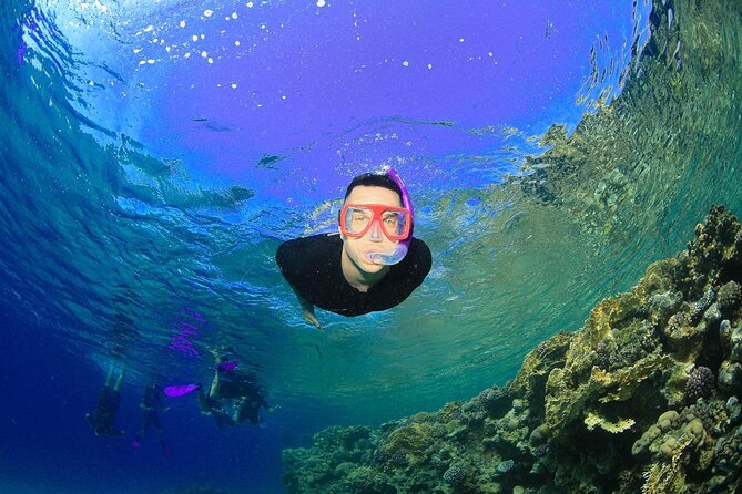 Tiran Island Snorkeling Experience by Yacht Sharm El Sheikh - The crew and boats: what to expect from the human side