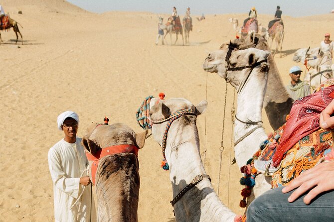 TOP Private ALL INCLUSIVE Pyramids,New Grand museum, Lunch,camel - The Guide Factor: Safety, Patience, and Making the Day Feel Easy