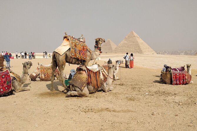TOP Private ALL INCLUSIVE Pyramids,New Grand museum, Lunch,camel - Practical Tips for Your Day at Giza and GEM