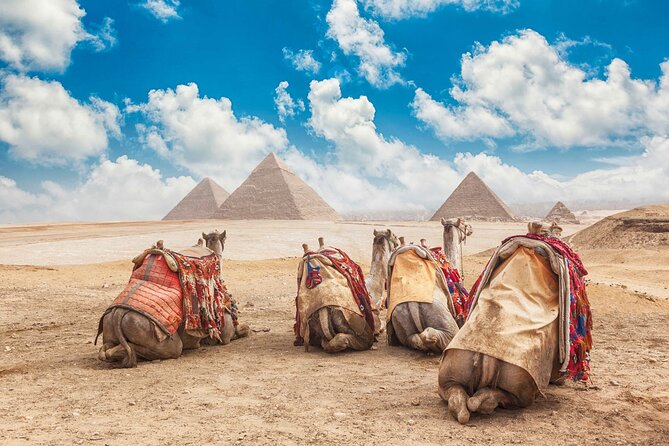 Tour to Cairo and the Pyramids from EL Gouna by A/C Vehicle - Egyptian Museum in Cairo: 2 Hours to See the Right Things