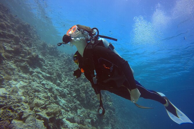 Try Scuba Diving Experience for Beginners in Hurghada - What You’ll See in the Red Sea: Coral, Fish, and Possible Big Moments
