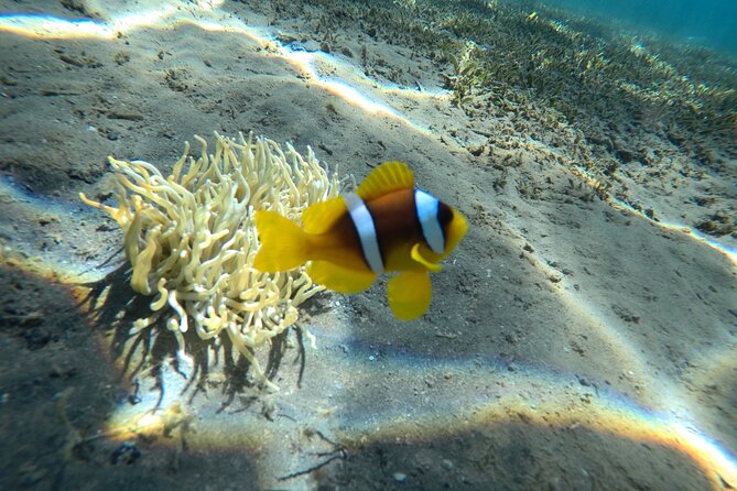 Try Scuba Diving Experience for Beginners in Hurghada - Equipment and Comfort: What’s Included and What to Bring