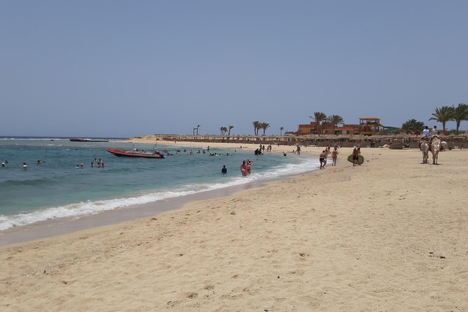 Turtles Bay, Swimming with Turtles Hurghada & Marsa ALam - Key points before you go