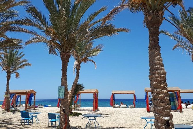 Turtles Bay, Swimming with Turtles Hurghada & Marsa ALam - The chances you actually care about: turtle sightings and what to do if you do not see one