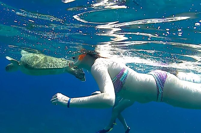 Turtles Bay, Swimming with Turtles Hurghada & Marsa ALam - Lunch by the beach and all-day drinks that keep you comfortable