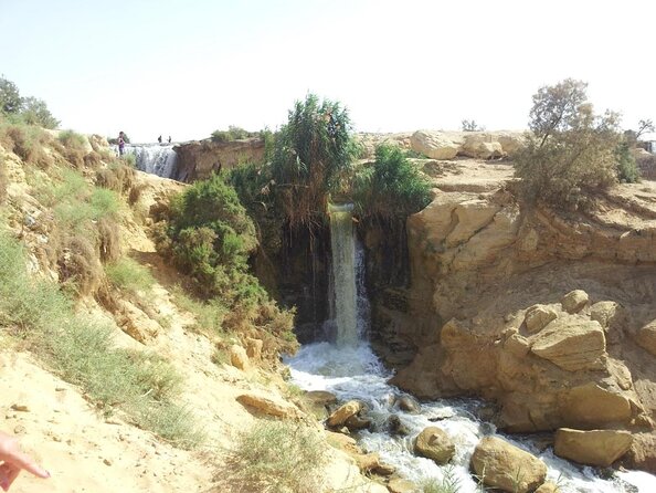 Valley of Whales and Wadi El Rayan Water Falls Day Tour from Cairo - Key highlights worth your attention