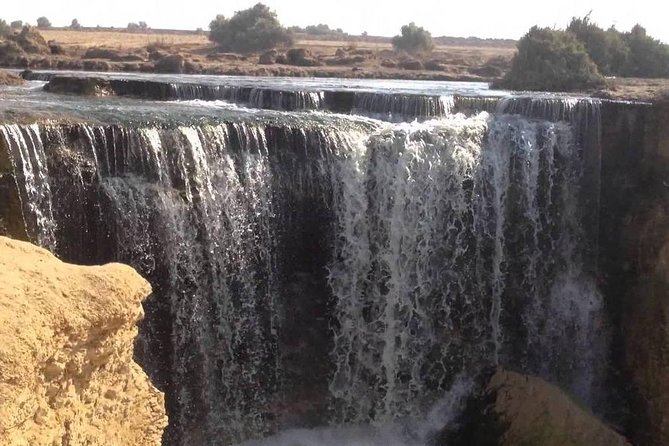 Valley of Whales and Wadi El Rayan Water Falls Day Tour from Cairo - The waterfalls can be crowded, so pick your moments