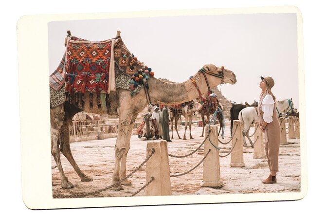VIP All inclusive Best of Giza Pyramids, Sphinx, Sakkara, Memphis - Entering the Giza Pyramids area: Cheops, Chephren, Mykerinus in one smooth run