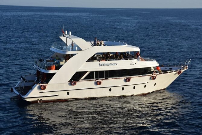 VIP Ras Mohamed and White Island boat trip - Key highlights you should know before you go