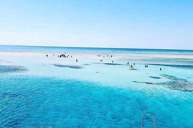 VIP Ras Mohamed and White Island boat trip - Why Ras Mohamed feels like Sharm el Sheikh’s top marine day