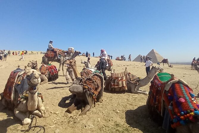 Vip Top Private Tour to Giza Pyramids and Sphinx with camel ride - Photo support at Giza, and why it changes everything