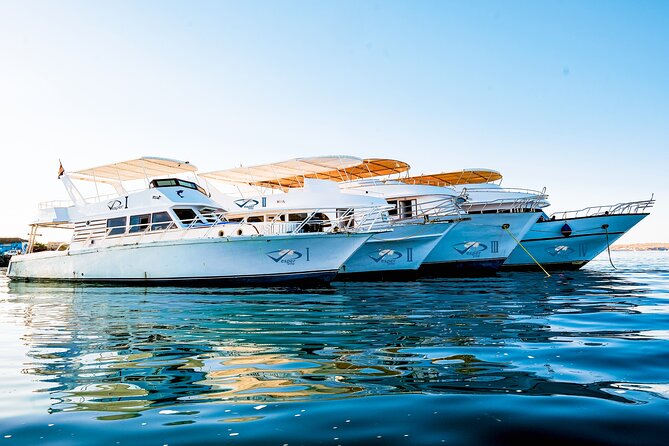 Viva Egypt hurghada Hula Hula Island & Lunch & Water sports 3<em>1 – Key Highlights You Will Actually Feel’ /></p>
<ul>
<li><strong>Two snorkel stops</strong> with about 1 hour at the first coral reef area after sailing out</li>
<li><strong>Hula Hula Beach time</strong> after the first swim, with space to relax before lunch and water activities</li>
<li><strong>Paradise Island setup</strong> built around white sand, an open buffet lunch, and time to enjoy the island</li>
<li><strong>Snorkeling equipment included</strong>, so you can pack lighter and start sooner</li>
<li><strong>Small groups up to 15 travelers</strong>, which usually makes the day run smoother than huge boat tours</li>
<li><strong>Price-to-inclusions value</strong> at around $30, especially with lunch, water, and soda included</li>
</ul>
<div class="twil" style="margin: 26px 0; padding: 4px 0;"><p>More sandbars off Hurghada</p><ul style="margin: 10px 0; padding-left: 0; list-style: none;"><li style="margin: 6px 0; line-height: 1.4;"><a href="https://egypttourreviews.com/hurghada-3-islands-dolphins-snorkel-yacht-trip-w-lunch/">Hurghada: 3 Islands, Dolphins & Snorkel Yacht Trip w/ Lunch</a><span style="margin-left: 8px; font-size: 0.82em; color: #5A6070; white-space: nowrap;"><span style="color: #B07A16;">★</span> 4.7 &middot; 4,609 reviews</span></li><li style="margin: 6px 0; line-height: 1.4;"><a href="https://egypttourreviews.com/orange-bay-island-snorkeling-trip-with-water-sports-hurghada/">Orange Bay Island Snorkeling Trip With Water Sports – Hurghada</a><span style="margin-left: 8px; font-size: 0.82em; color: #5A6070; white-space: nowrap;"><span style="color: #B07A16;">★</span> 5.0 &middot; 2,003 reviews</span></li><li style="margin: 6px 0; line-height: 1.4;"><a href="https://egypttourreviews.com/hurghada-hula-hula-cruise-with-lunch-massage-snorkeling/">Hurghada: Hula Hula Cruise with Lunch, Massage, & Snorkeling</a><span style="margin-left: 8px; font-size: 0.82em; color: #5A6070; white-space: nowrap;"><span style="color: #B07A16;">★</span> 4.5 &middot; 1,875 reviews</span></li><li style="margin: 6px 0; line-height: 1.4;"><a href="https://egypttourreviews.com/hurghada-orange-bay-day-trip-with-water-sports-and-lunch/">Hurghada: Orange Bay Day Trip with Water Sports and Lunch</a><span style="margin-left: 8px; font-size: 0.82em; color: #5A6070; white-space: nowrap;"><span style="color: #B07A16;">★</span> 4.9 &middot; 1,746 reviews</span></li></ul></div><h2 id="the-7-to-8-hour-rhythm-from-hurghada-to-island-day">The 7 to 8 Hour Rhythm From Hurghada to Island Day</h2>
<p>1 – The 7 to 8 Hour Rhythm From Hurghada to Island Day’ /><br />
This tour is designed as a long, easy half-day to full-day outing. You start around <strong>8:00 am</strong>, then spend the morning and early afternoon bouncing between Red Sea water, beach time, and lunch, before heading back around <strong>4:30 pm</strong>.</p>
<p><p>The meeting point is at <strong>Royal Lagoons The private Beach</strong> (Hurghada). If you are coming from a hotel that is not directly on the usual pickup route, you may need to factor in a small extra charge for transfers depending on where you stay. The tour also uses a <strong>mobile ticket</strong>, and you get confirmation at booking.</p>
</p>
<p><p>The biggest thing about the timing is that it gives you real variety. You are not doing nonstop activity. You get a snorkeling window, then beach and island time, then more water and food. If your goal is a classic Hurghada sea-and-sand day that is not too exhausting, this pacing fits.</p>
</p>
<h2 id="getting-to-the-marina-and-settling-in-with-gear">Getting to the Marina and Settling In With Gear</h2>
<p><img width="669" height="446" decoding="async" src=