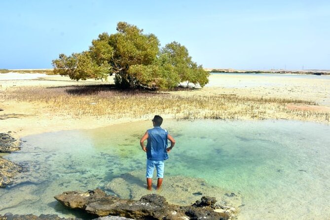 Wady Elgemal National Park Marsa alam - Wadi El Qulaan Mangrove Stop: Shallow Walks And Photo Moments