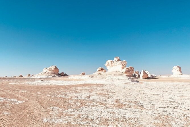 White & Black Desert tour 2 Days 1 night camping from Cairo. - Transportation and timing: why the day feels full