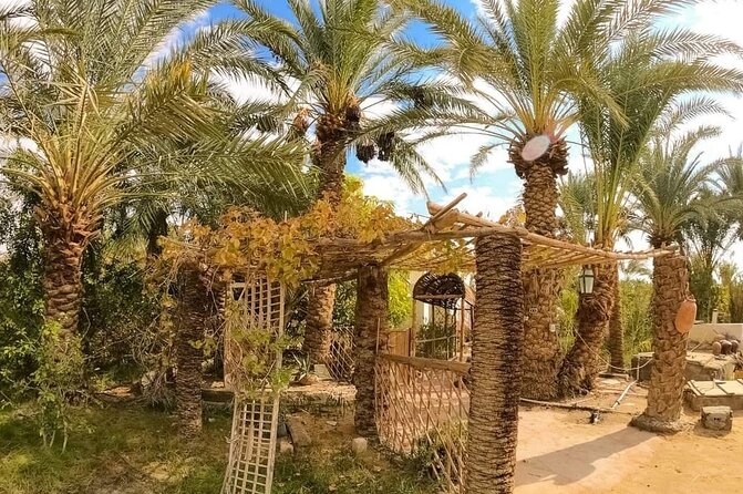 White Desert & Bahariya oasis 3 days 2 nights Tour from Cairo - Day 3: back to the oasis, warm springs rest, then Cairo