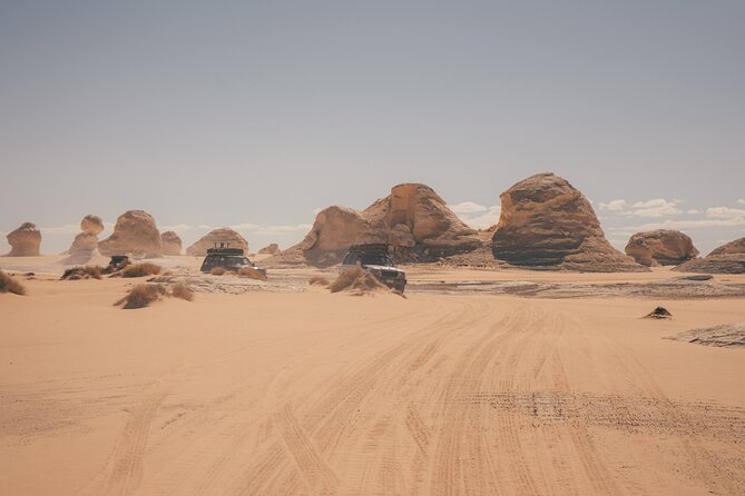 White Desert Overnight Camping Sharing Tour in Egypt - White Desert rock formations, fossils, and a full day outside