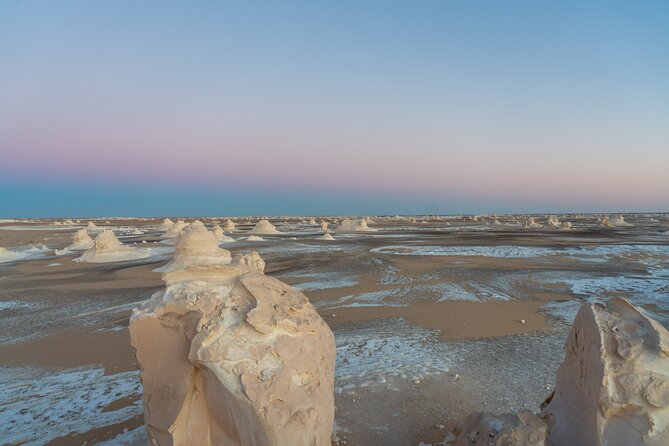 White Desert Overnight Camping Sharing Tour in Egypt - Price and logistics: what you get for $175 and what to budget for