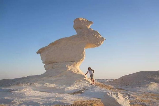 White Desert Overnight Tour From Cairo - Key highlights